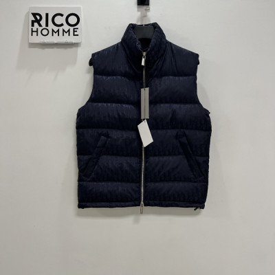 D올 오블리크 구스다운 패딩 베스트 (PREMIUM)