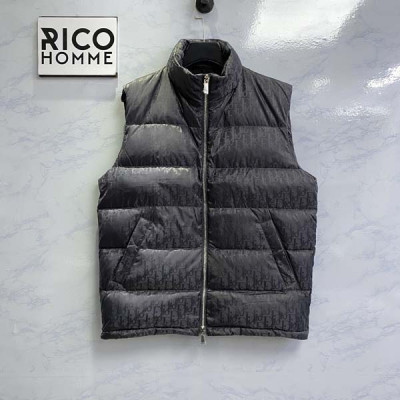 D올 오블리크 구스다운 패딩 베스트 (PREMIUM)